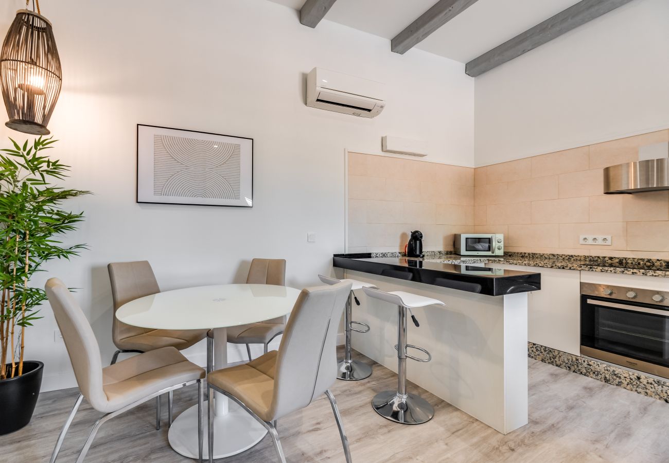 Apartamento en Málaga - SUNNY TERRACE