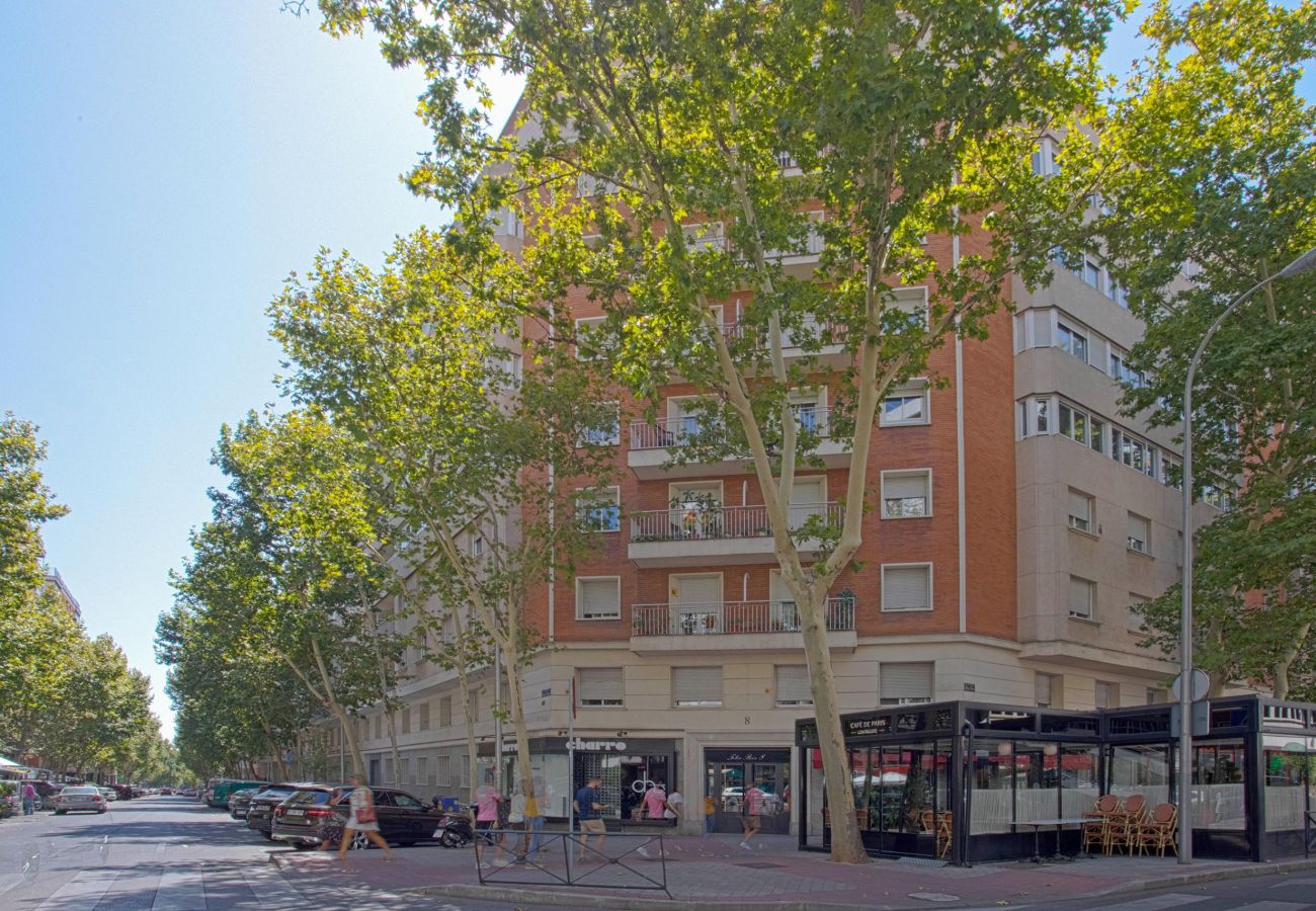 Apartment in Madrid - 2 bedroom apartment in La Castellana Sharing Co.