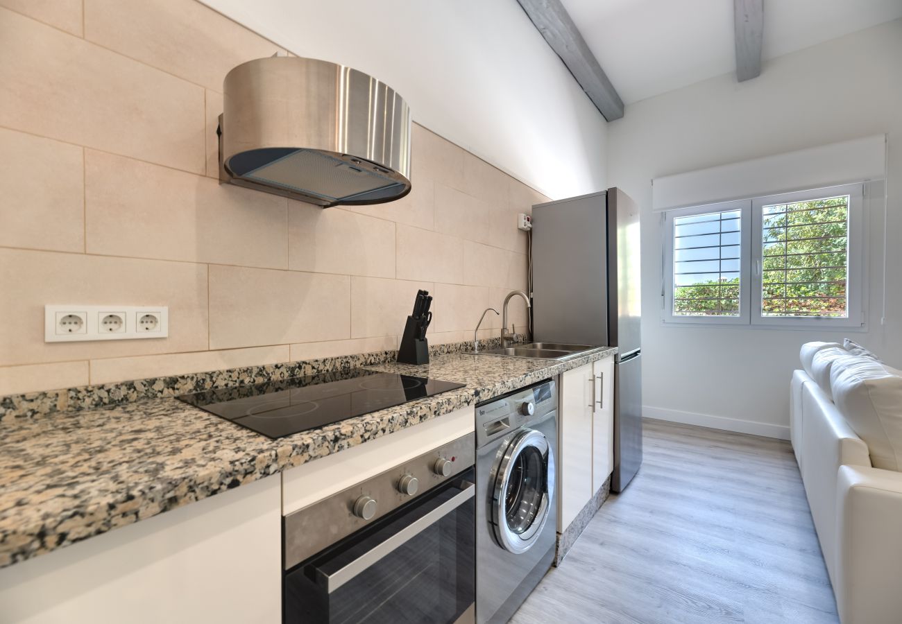 Apartment in Málaga - SUNNY TERRACE
