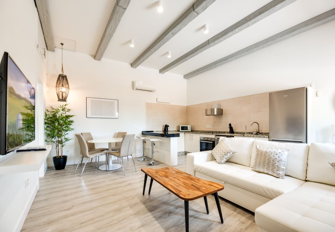 Apartment in Málaga - SUNNY TERRACE