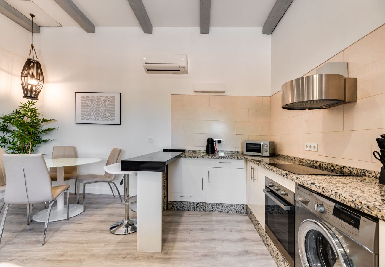 Apartment in Málaga - SUNNY TERRACE