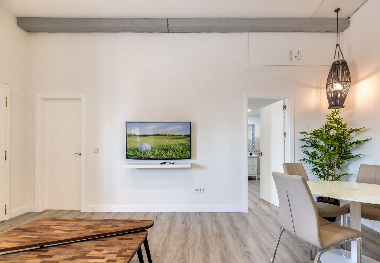 Apartment in Málaga - SUNNY TERRACE