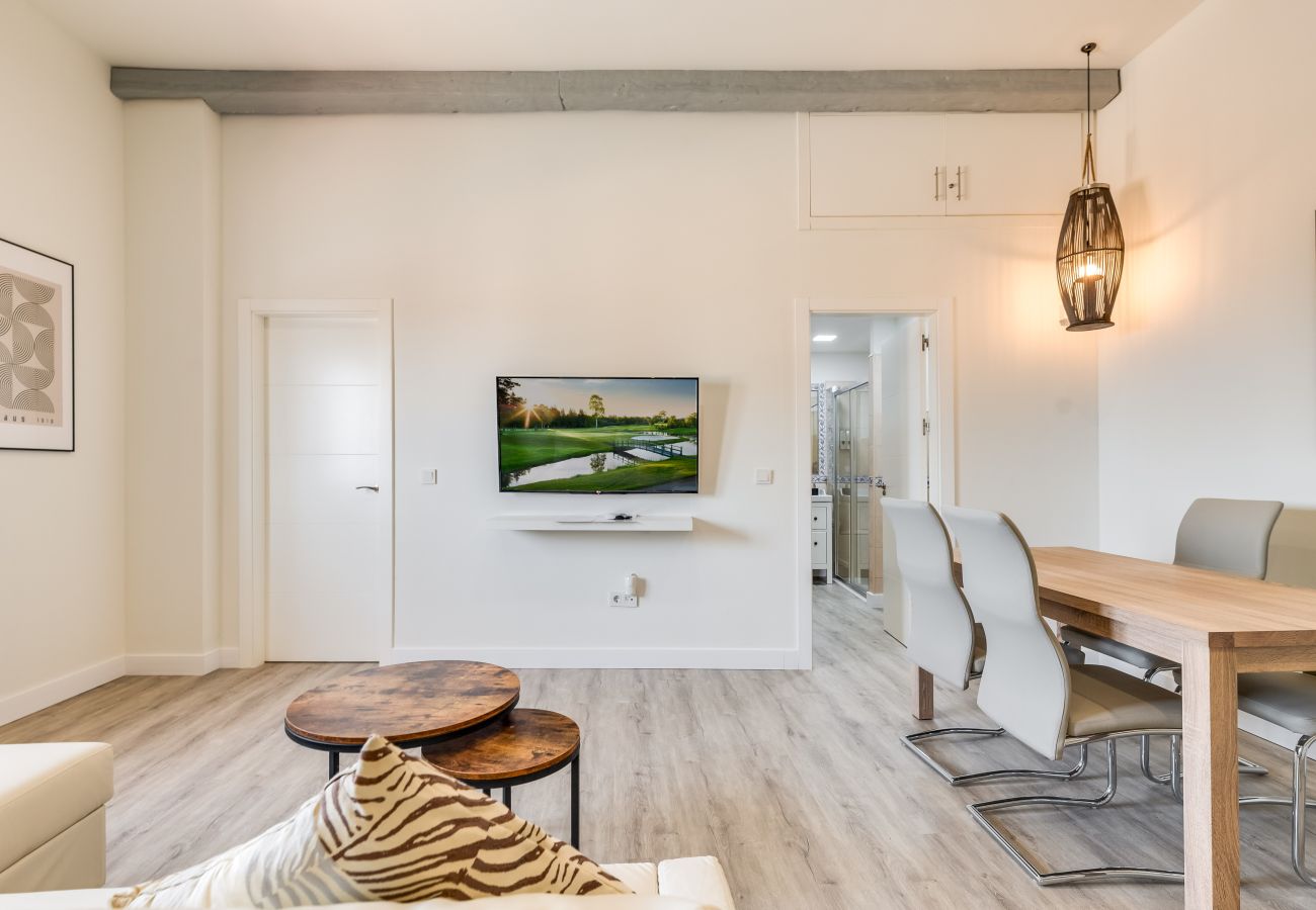 Apartment in Málaga - MALAGA BAY VIEW TERRACE